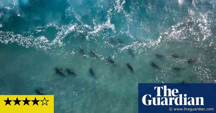 Asia review – another David Attenborough masterclass in beautiful TV