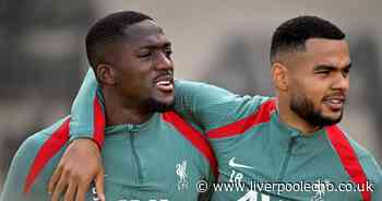 Luis Diaz and Cody Gakpo respond as huge Liverpool injury update confirmed