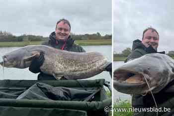 “1,92 meter en 49 kilogram”: Steven (28) vangt gigantische meerval aan Netekanaal in Duffel