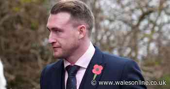 Stuart Hogg pleads guilty to five-year domestic abuse of wife