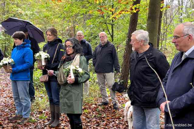 Zevensterbos vormt decor voor serene Greenplease-herdenking van te vroeg overleden natuurstrijders: “Voor onze groene helden Carl, Jan en Sebastiaan”