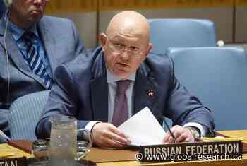 Russia’s UN Representative Reaffirmed His Country’s Belief in a Maximum Victory