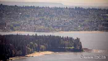 Tree removal closes stretch of Vancouver's Stanley Park seawall for a month