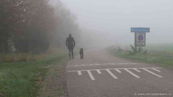 KNMI waarschuwt: plaatselijk dichte mist in Brabant