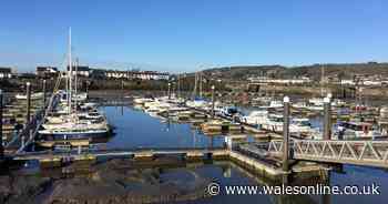 Major port operator in frame to take over Welsh harbour