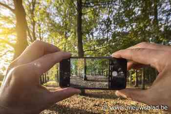 Van speelbossen tot weidse panorama’s: deze vijf wandelingen in Limburg geven je de herfstkriebels