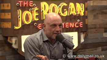 Joe Rogan endorses Donald Trump in the presidential election after interviewing Elon Musk