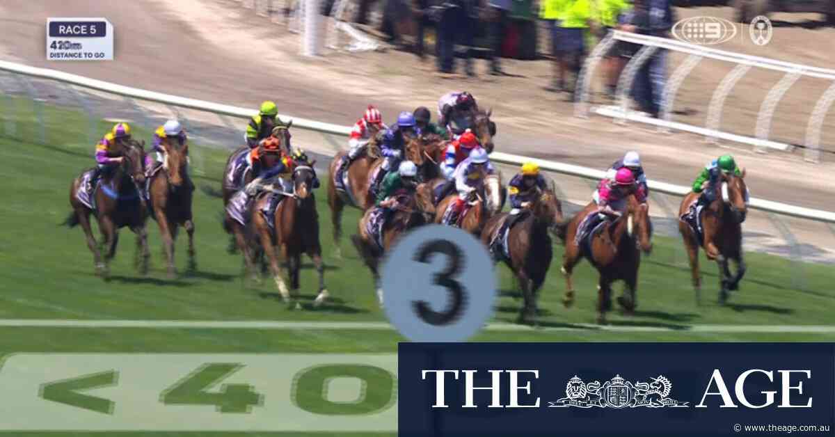 Melbourne Cup: Race 5 - Lexus Melbourne Cup Carnival