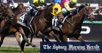 ‘Pinch me, I’m dreaming’: Knight’s Choice wins the 2024 Melbourne Cup