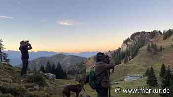 Steinwild-Bestand an Benediktenwand stabil: Jäger suchen Gebiet ab: „Wollen nicht mehr Touristen anlocken“