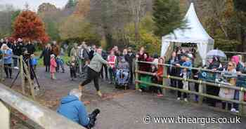 Farm urges people to get practising for annual Christmas tree flinging competition