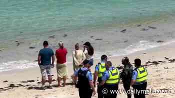 WA cop dies while scuba diving at Trigg beach, Perth