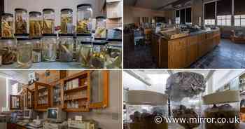 Inside abandoned 'zombie apocalypse' college full of preserved animals and human body parts