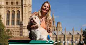 Tories' new leader on Welsh issues in Parliament lives 200 miles away from Wales