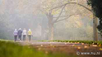 In 100 woorden | Waarom is het zo mistig?