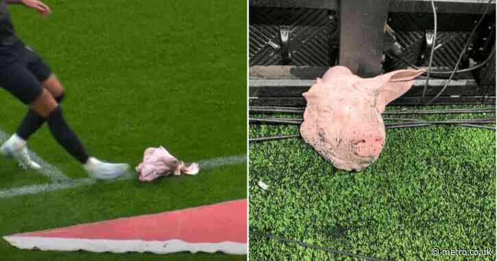 Pig’s head thrown on pitch during fiery Brazilian football derby match