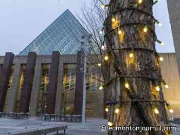 Middle manager jobs on decline at Edmonton city hall, but expert says more work to do