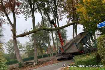 Stroomonderbreking door omgevallen boom