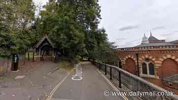 Boy, 16, is arrested on suspicion of rape, kidnap and robbery after woman in her 20s attacked near church in Harrow