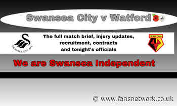 Swansea City : Swans injury list, contracts, officials and more this evening