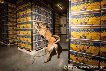 4,5 ton cocaïne in beslag genomen in haven van Antwerpen