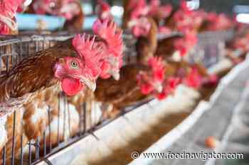 Deadly: New Bird Flu variant strength alarming industry