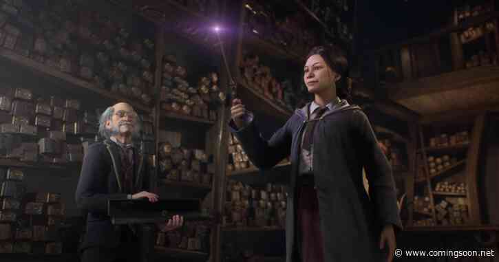 Hogwarts Legacy 2 Will Incorporate Storylines From HBO Harry Potter Show