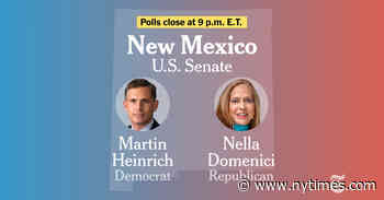 New Mexico U.S. Senate Election Results 2024: Heinrich vs. Domenici