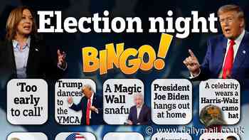 Play election night bingo: Fill in your card for the presidential race showdown between Donald Trump and Kamala Harris while you watch TV