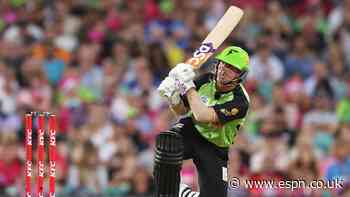 David Warner named Sydney Thunder captain