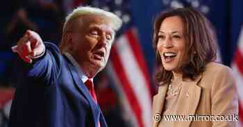 US election results timeline: When are they expected as Trump and Harris go head to head