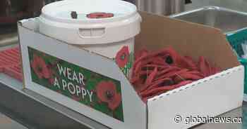 Legion poppy boxes stolen from Edmonton businesses: ‘Sadly, it’s not unusual’