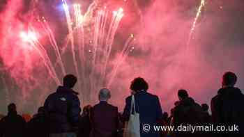 Families flock to enjoy spectacular Bonfire Night displays as colourful fireworks fill the skies - despite 'penny-pinching' councils cancelling events