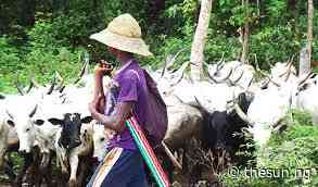 Cattle farmers appeal for backing to protect industry from financial risks