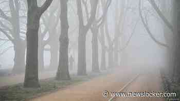 Weerbericht | Nevel, mist en bewolking: het wordt een grijze dag