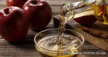 Urgent health warning to anyone drinking apple cider this autumn