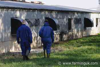 Defra confirms bird flu in Yorkshire free range flock