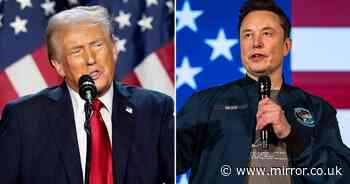 Donald Trump's cosy bond with Elon Musk - gushing compliments to White House promise