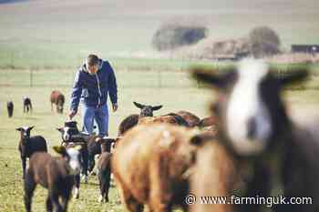 Family farms urged to seek expert advice after &#39;disastrous&#39; budget