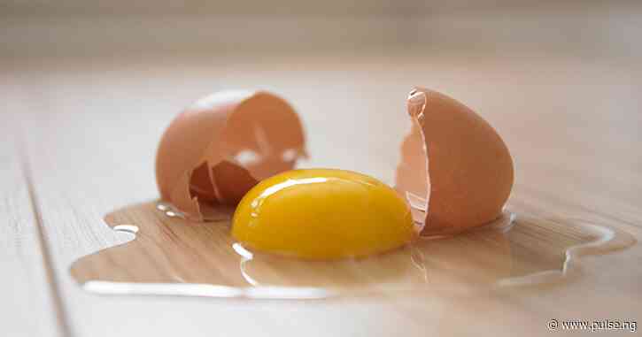 How to easily tell if an egg has gone bad