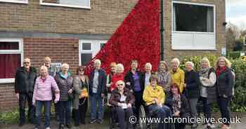 Ponteland remembrance wall unveiled after appeal produced thousands of knitted poppies