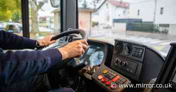 Man attacks bus after driver tells him to apologise for hitting woman's phone out of hand