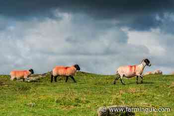 Defra announces new commissioner role for tenant farming sector