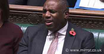 David Lammy confronted with past Donald Trump comments - 'woman-hating, neo-Nazi-sympathising sociopath'