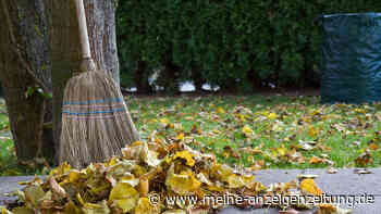 Herbstlaub im Garten – wo Sie es lassen und wo Sie es aufsammeln sollten