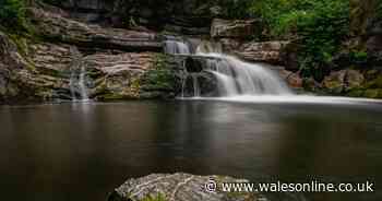 Dad dies in freak fall at beauty spot