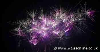 The best pictures as thousands attend fireworks display at St Helen's in Swansea