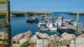 Commercial fishers seek $10 million in damages against 'illegal' N.S. lobster buyers