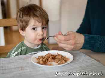 Ban tinned tuna from schools and hospitals, say activists, after toxic levels of mercury found in samples