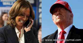 Kamala Harris Finally Contacts Trump 12 Hours After the Race Was Called